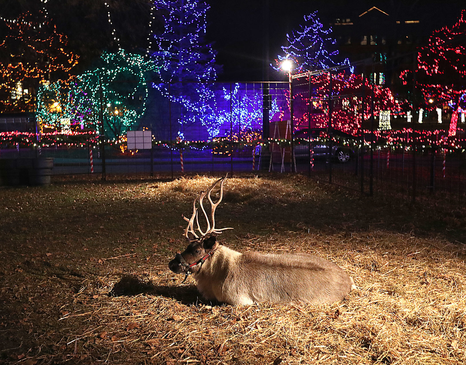 Rotary Lights